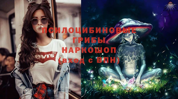метадон Алексин