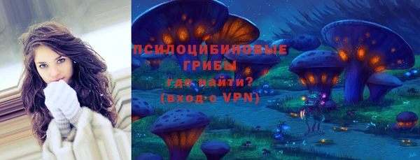 метадон Алексин